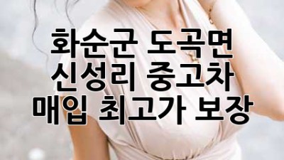 화순군 도곡면 신성리 중고차 매입 최고가 보장!